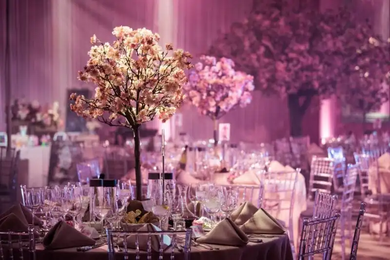 Bar and Batz Mitzvahs CTA – Credit Blake Ezra (1)