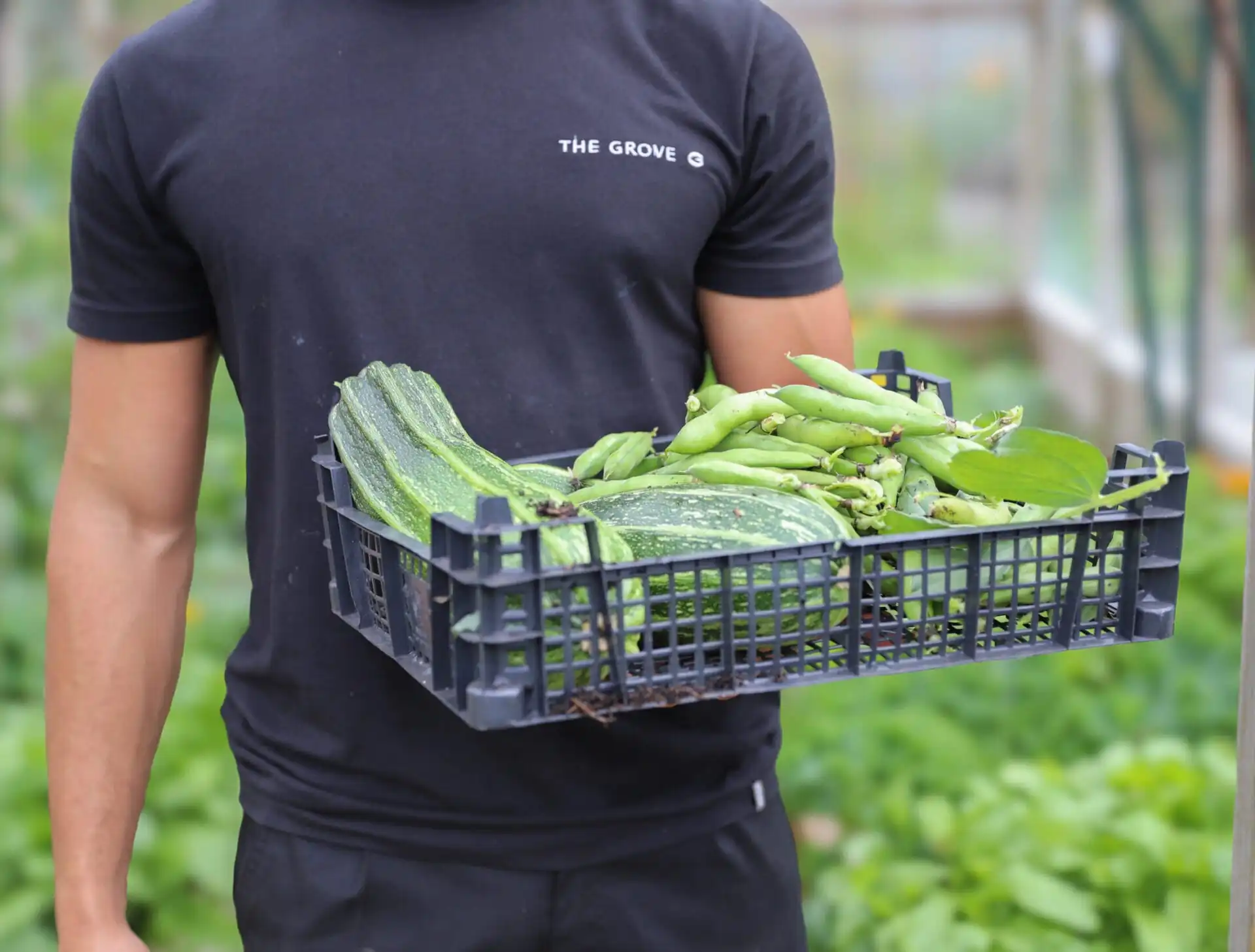 Jemima's Kitchen Garden