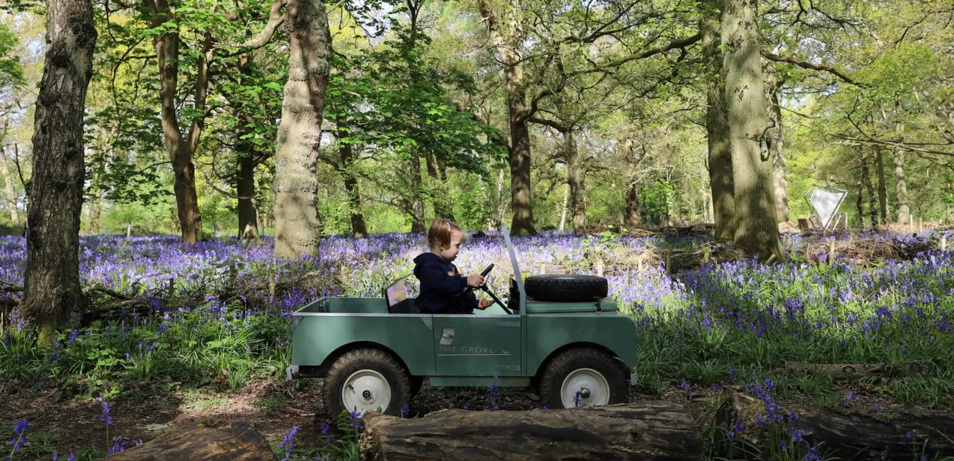 Mini Landies in the woodland