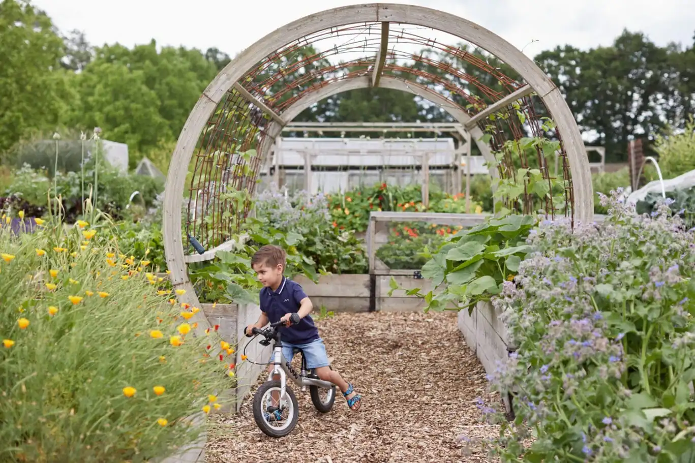 Child riding a bike in the walled garden at the Grove