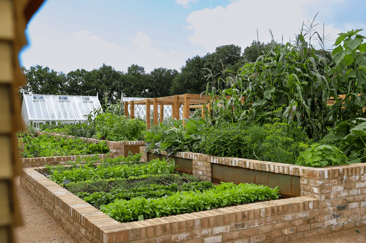 Jemima's Kitchen Garden