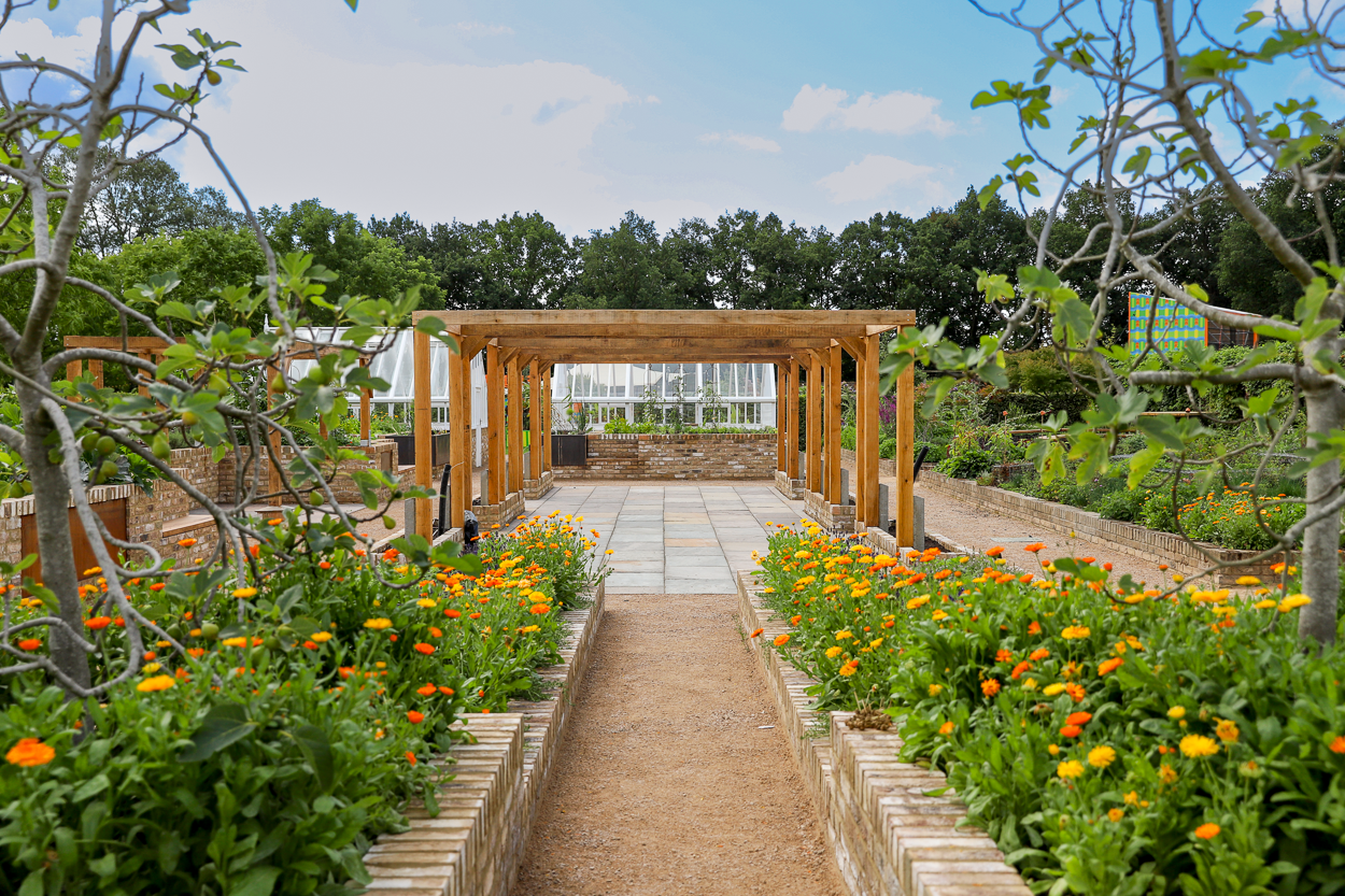 Jemima's Kitchen Garden